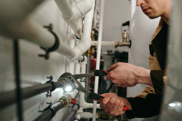 Best Local Plumber Services  in Pelion, SC