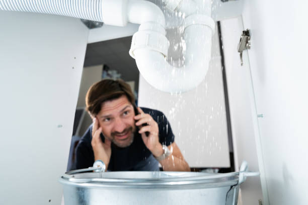 Best Clogged Drain Plumber  in Pelion, SC