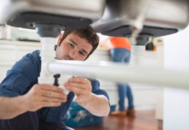 Best Emergency Plumber  in Pelion, SC